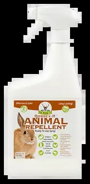 Bobbex-R Animal Repellent-32 ounces