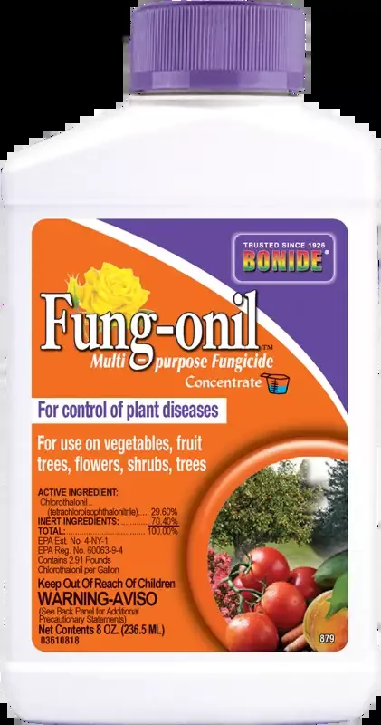 Bonide Fung-onil Concentrate – 8 oz.