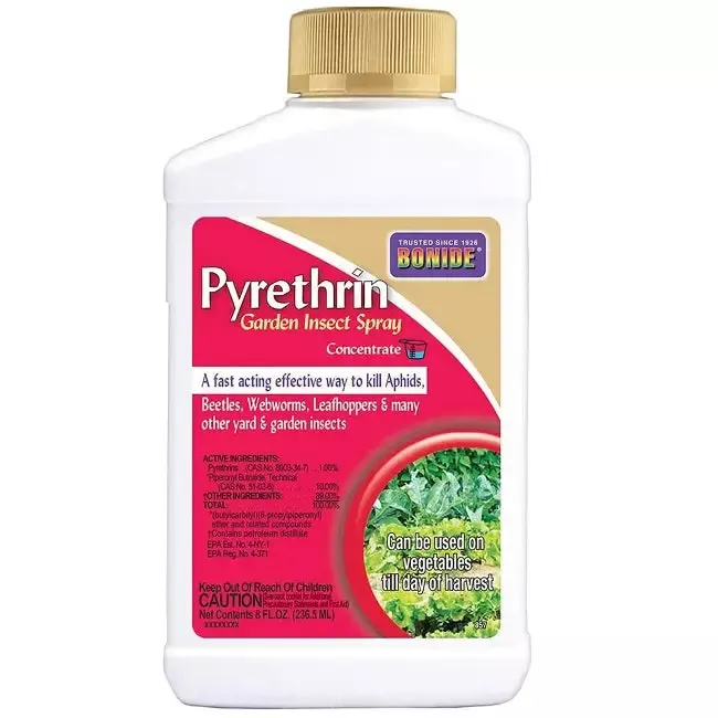 Bonide Pyrethrin Garden Spray Concentrate 8 oz