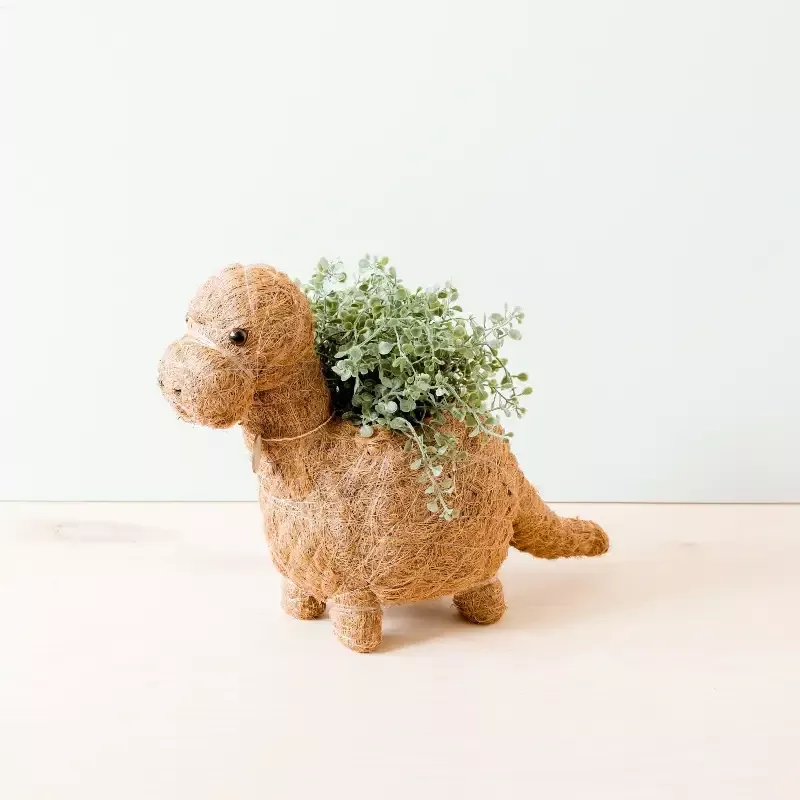 Brontosaurus Planter – Coco Coir Pots