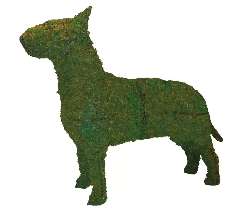 Bull Terrier 33″ Topiary Sculpture – Wire Frame or Moss Filled