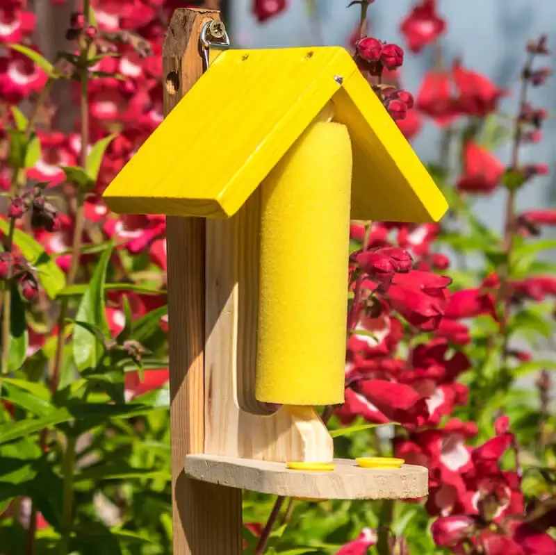 Butterfly and Bee Feeder Set/2