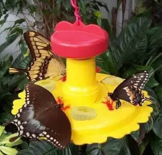 Butterfly Feeder with Nectar – Hang or Pole Mount