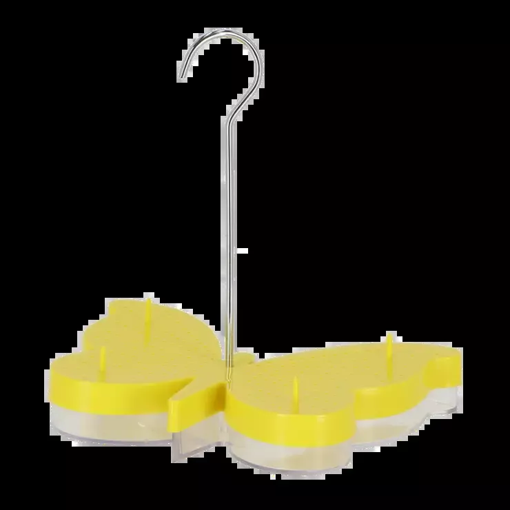 Butterfly Feeder