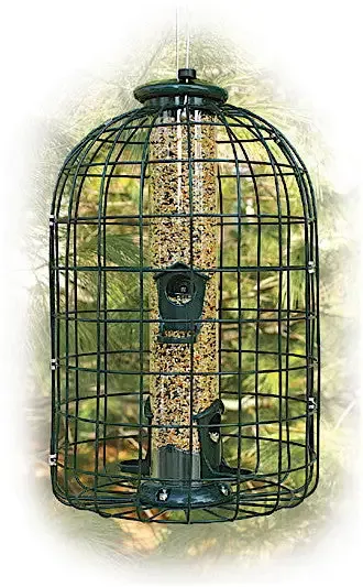 Caged Squirrel Proof Bird Feeder- 2 lb.