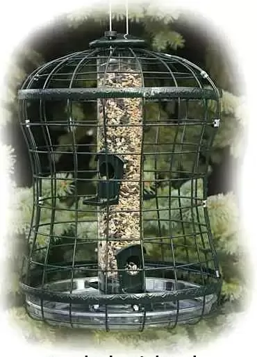 Caged Squirrel Proof Bird Feeder w/ Tray
