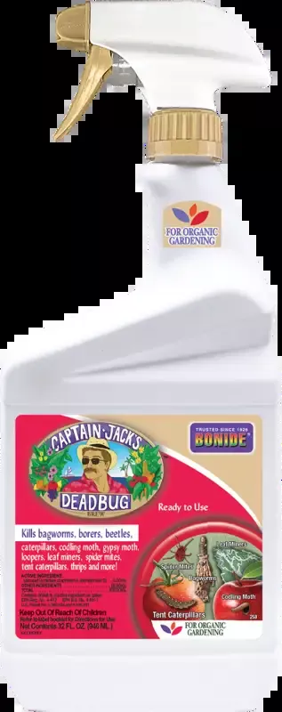 Captain Jack’s Deadbug Brew Organic