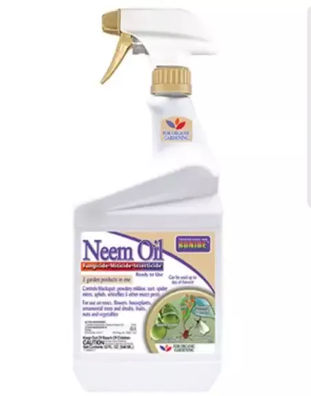 Captain Jacks Neem Oil