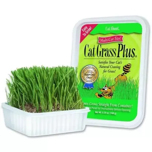 Cat Grass Plus Grow Kit, 5.5 oz.