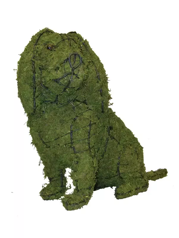 Cavalier King Charles Spaniel Topiary Sculpture – Wire Frame, Moss Filled or Lighted