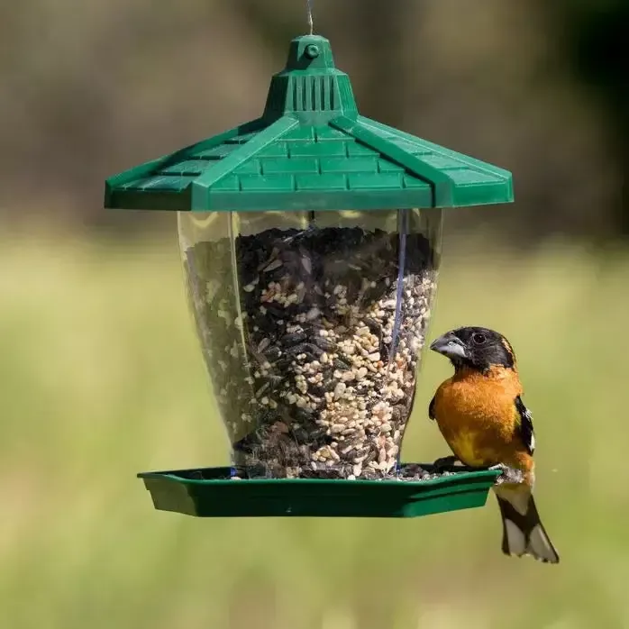 The Chalet Wild Bird Feeder