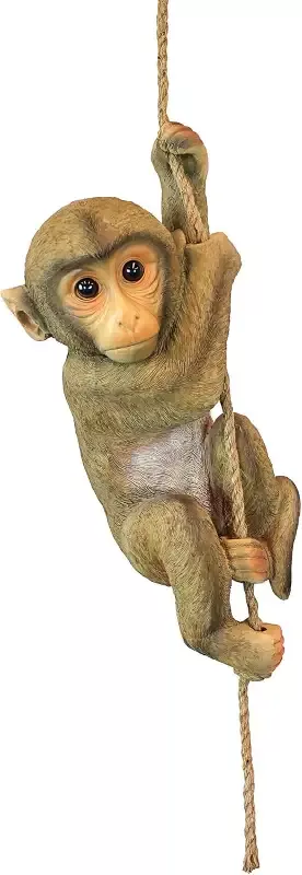Chico The Chimpanzee Hanging Monkey