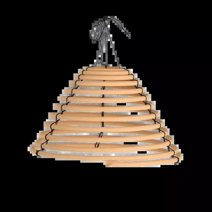 Citronella Bug Spiral Set