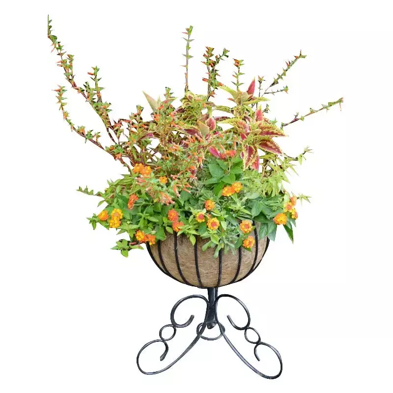 Classic Urn Free Standing Planter and Coco Liner Set