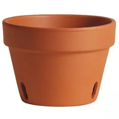 Clay Orchid Pot 8″