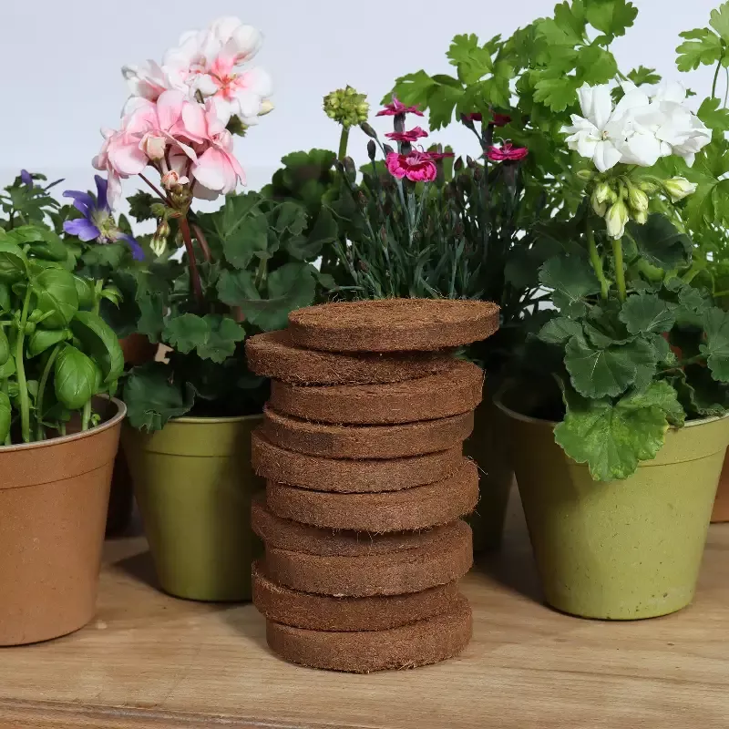Coir 20g Disc x 10 Pack – Growlite Premium 2.4″ D x .5″ H