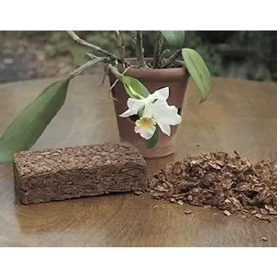 Coir Coco Coconut Husk Chip Bricks Case of 24