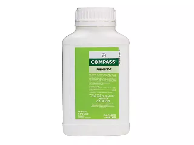 Compass 50 WG Granular Insecticide