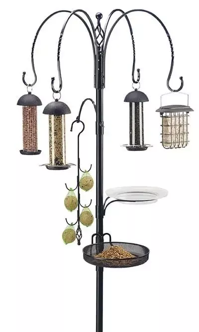 Complete Bird Feeding Station with Feeders