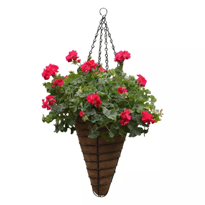 Conical Hanging Basket
