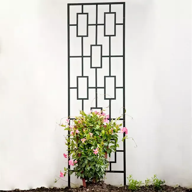 Contemporary Plant Climber Trellis