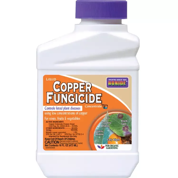 Copper Fungicide Concentrate, 16 oz. – Bonide