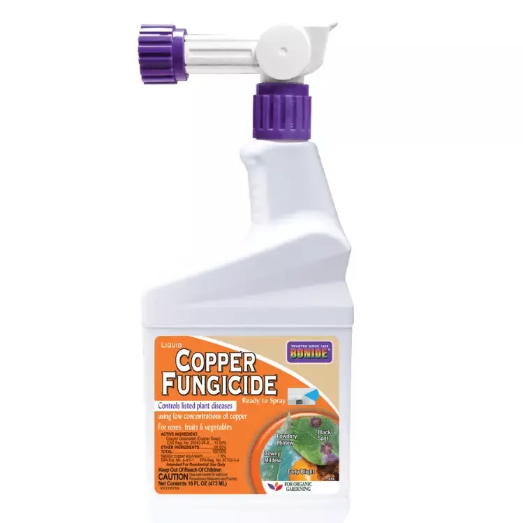 Copper Fungicide Ready-to-Spray, 16 oz. – Bonide