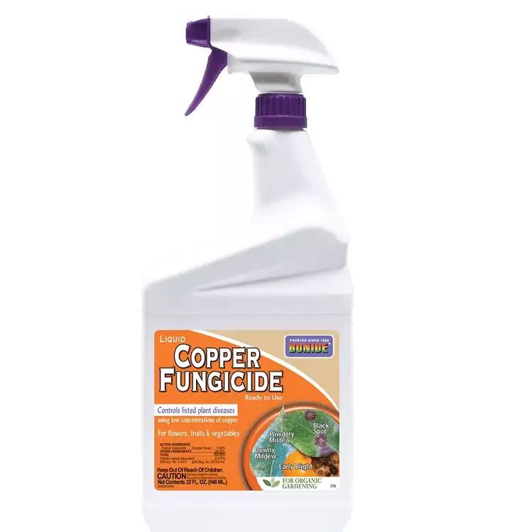 Copper Fungicide Ready-to-Use, 32 oz. – Bonide
