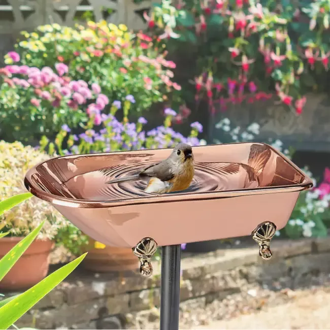 Copper Wing Birdbath