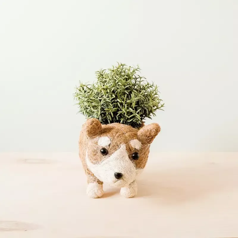 Corgi Succulent Pot – Handmade Planters