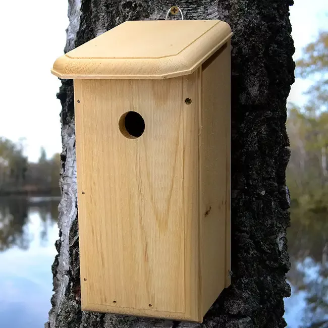 Coveside Chickadee Coop