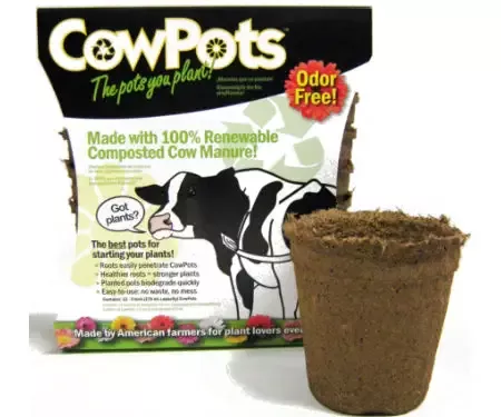 Cow Pots – Round