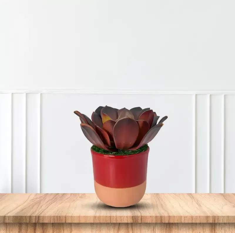 Cute Echeveria Red Succulent in Ceramic Pot – Artificial ~ The Perfect Christmas Gift