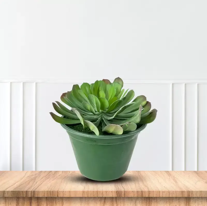Cute Tree Houseleek Succulent in Plastic Pot – Artificial