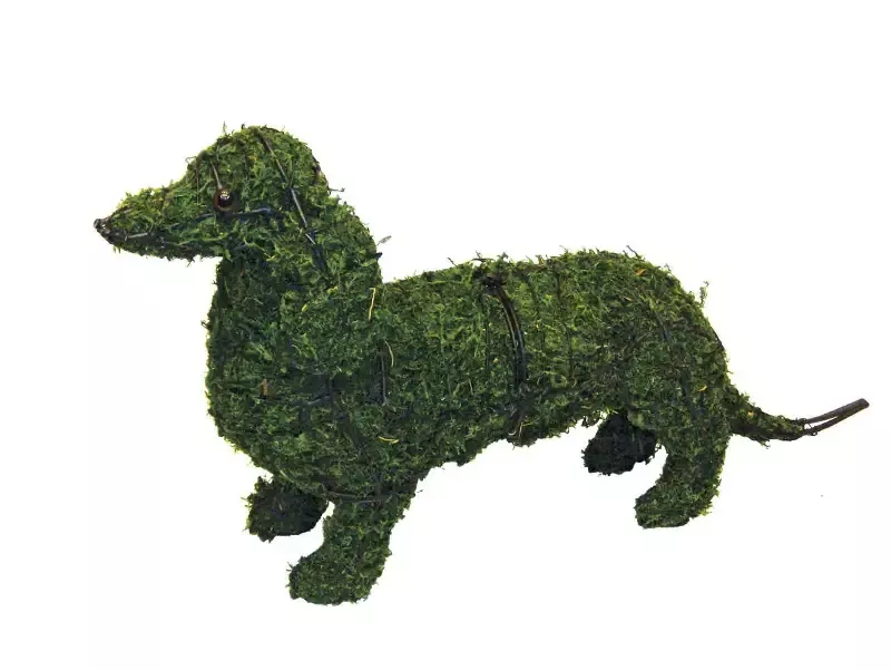 Dachshund 25″ Topiary Sculpture – Wire Frame, Moss Filled or Lighted