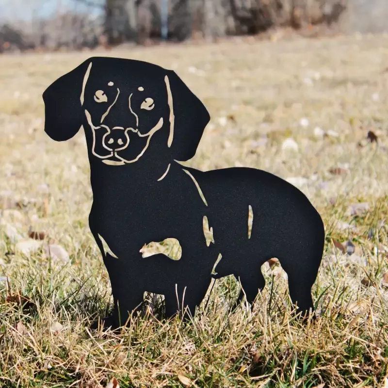 Dachshund – Shorthaired