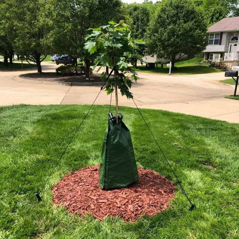 DeWitt Dew Right Tree Watering Bag