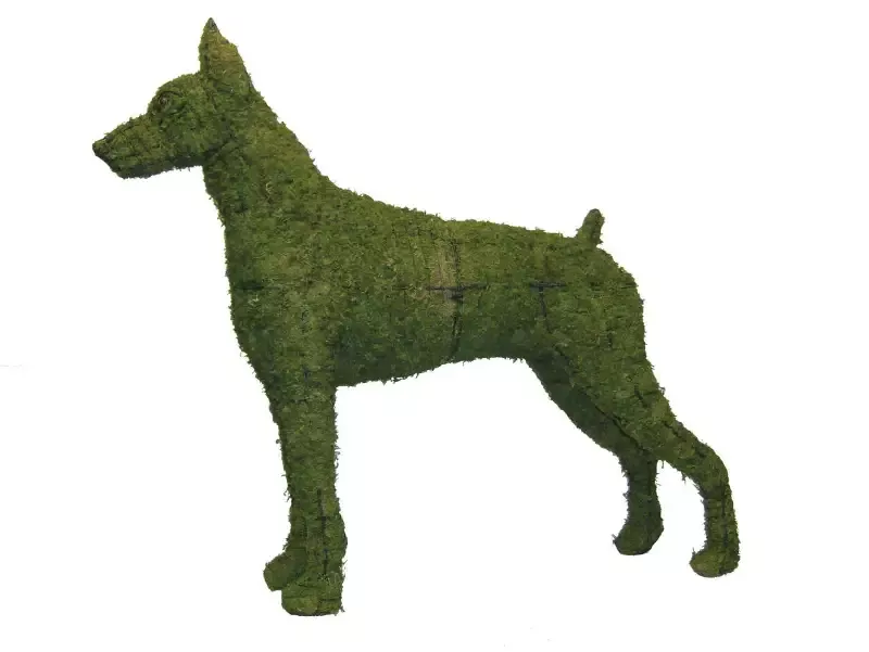 Doberman 40″ Topiary Sculpture – Wire Frame or Moss Filled