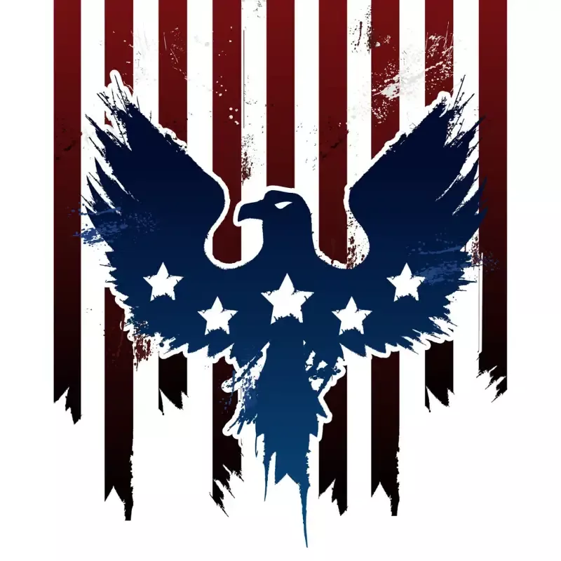 Eagle Flag T-Shirt
