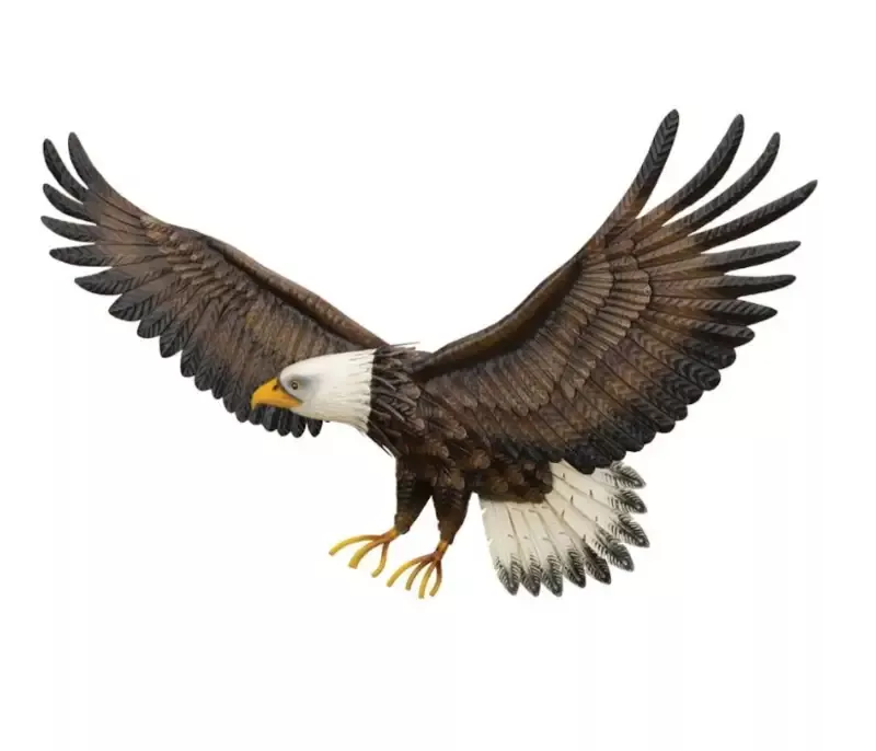 Eagle Wall Decor