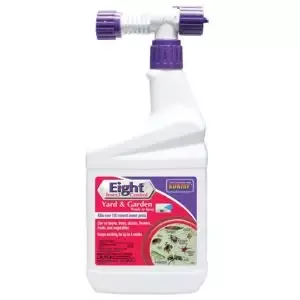 Eight Insect Control Yard & Garden 32 fl oz