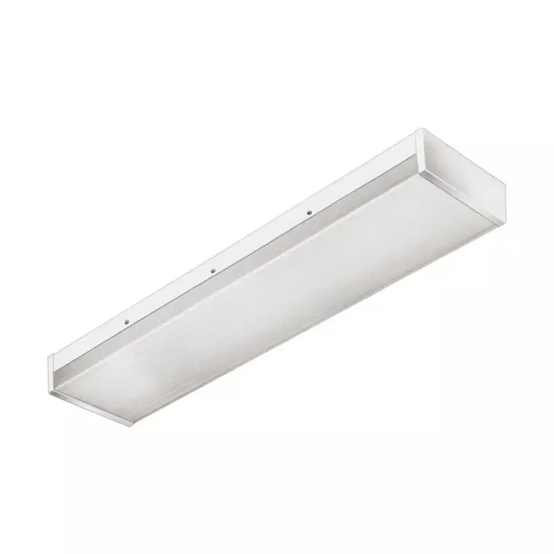 Failsafe Lighting FVS8 Vandal Resistant Wall / Ceiling, 3.75″H x 8″W