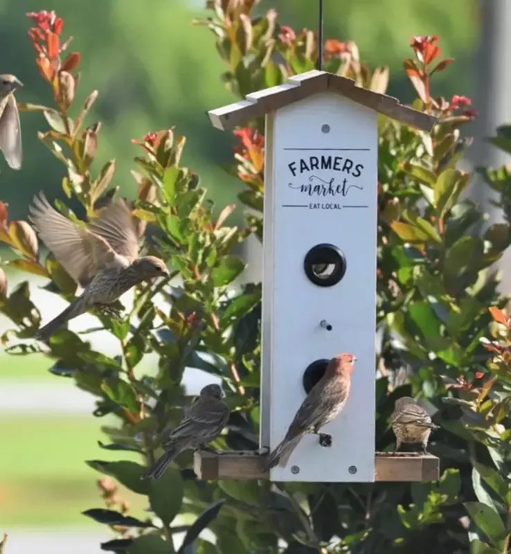 Farmer’s Market Vertical Bird Feeder