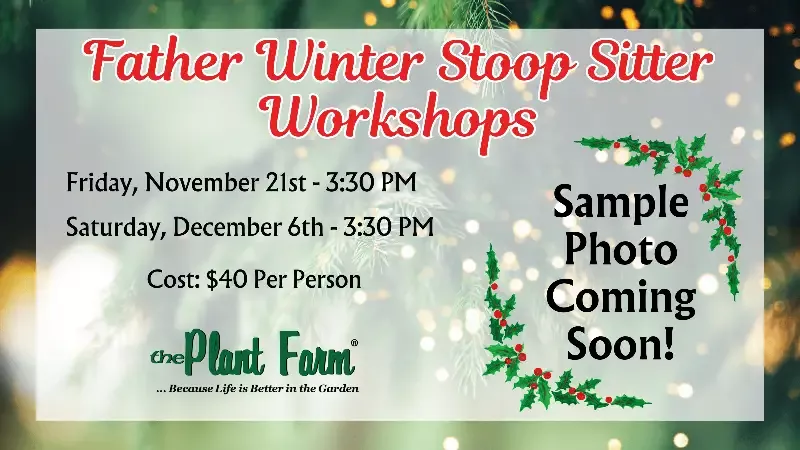 Father Winter Stoop Sitter- Friday, November 21st @ 3:30PM