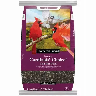 Feathered Friend Cardinals’ Choice