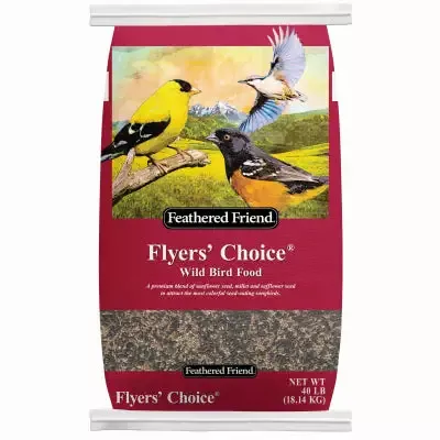 Feathered Friend Flyer’s Choice