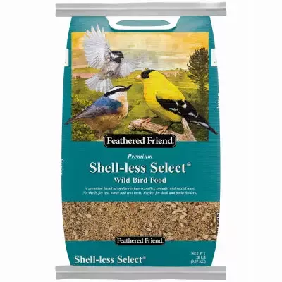 Feathered Friend Shell-Less Select