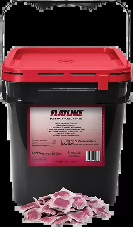 Flatline Soft Bait