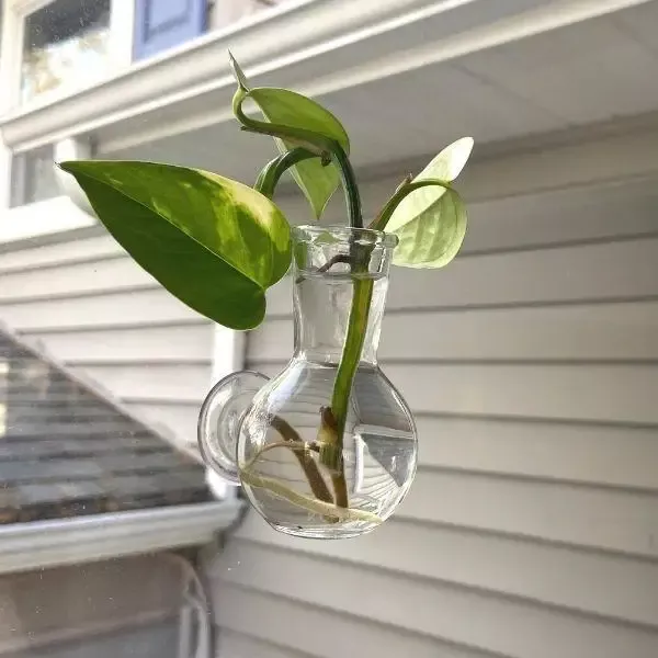 Floral Illusion Glass Vase