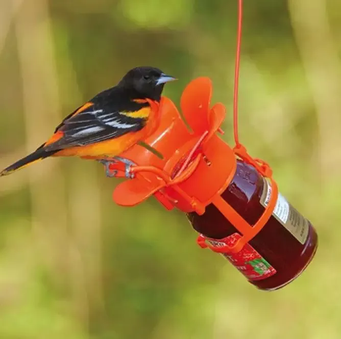 Flower Jelly & Jam Feeder
